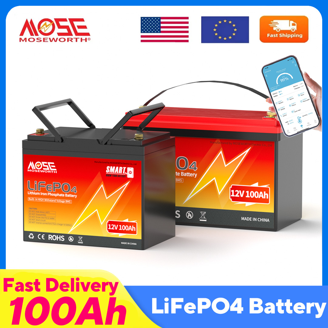 MOSEWORTH LiFePO4 12V 100Ah ba - Lifepo4 12V 100Ah Bms Bluetooth recensie en prijs